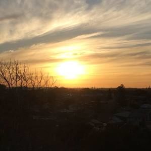 Meet your Posher, Sophie